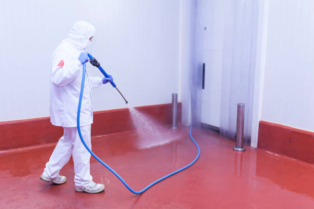 Best Building Exterior Washing  in Lake Waccamaw, NC