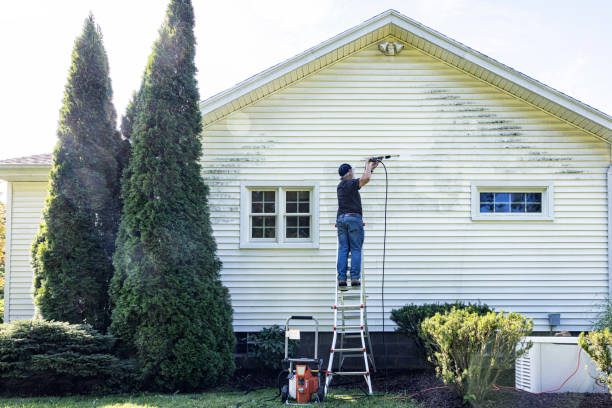 Best Solar Panel Cleaning  in Lake Waccamaw, NC